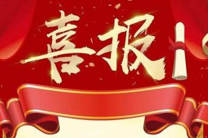 关于2022年度人力资源服务评选结果的通报，祝贺多宝注册网（中国区）首页集团