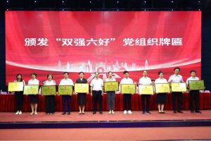 喜报！多宝注册网（中国区）首页集团党支部荣获广州市非公有制经济组织“双强六好”党
