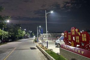 多宝注册网（中国区）首页集团罗宁弟爱心捐赠路灯，点亮乡村路温暖乡民心